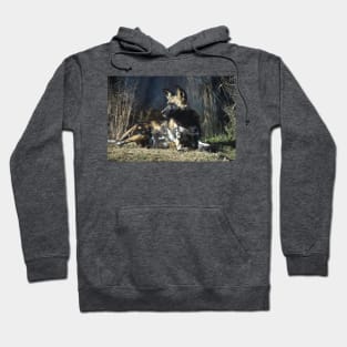 African Painted Dog Hoodie